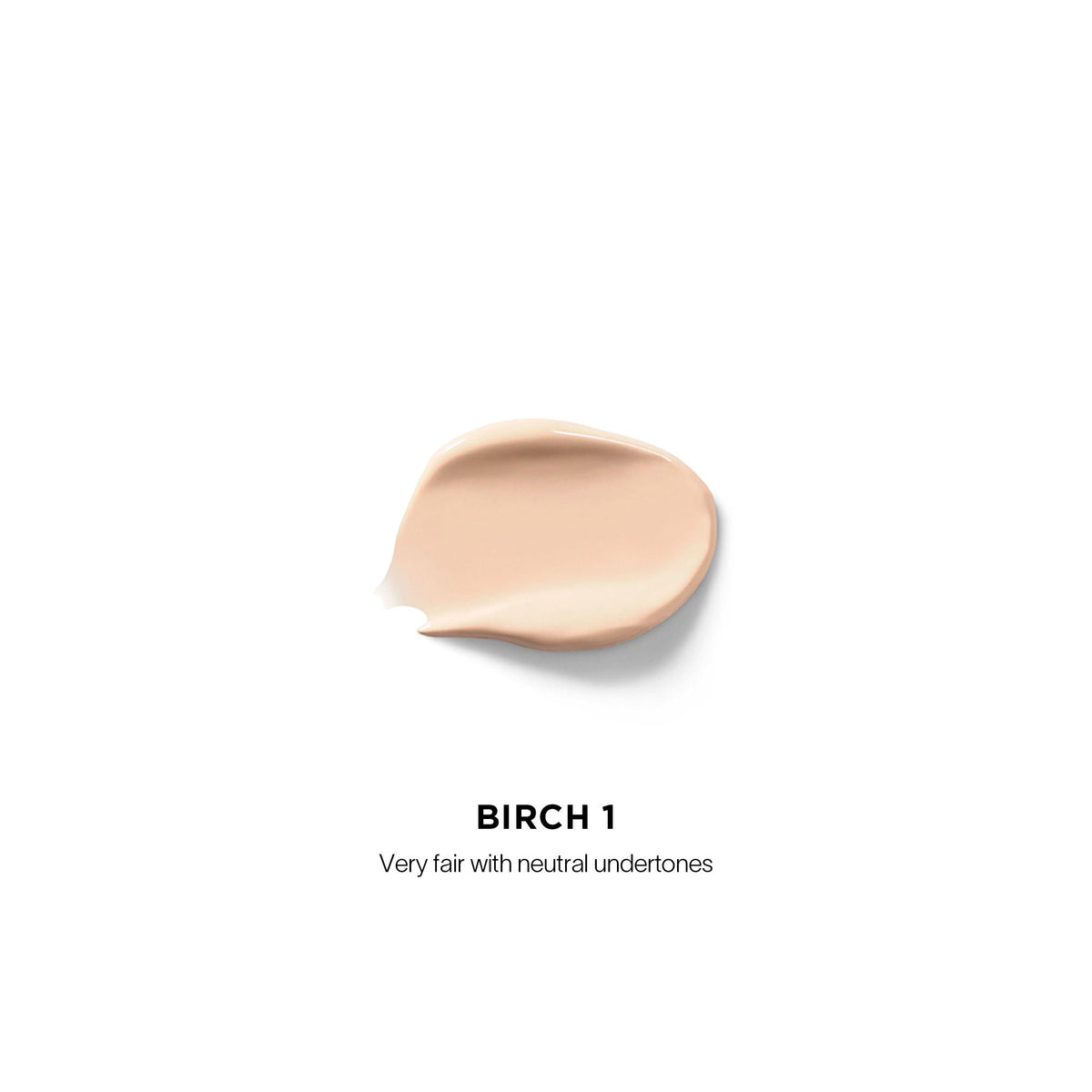 Vanish Airbrush Concealer
