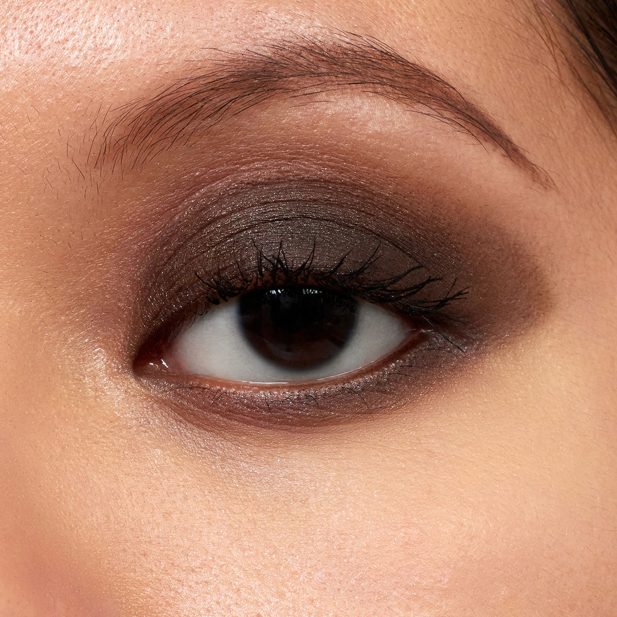 Pretty Shady Pressed Pigment