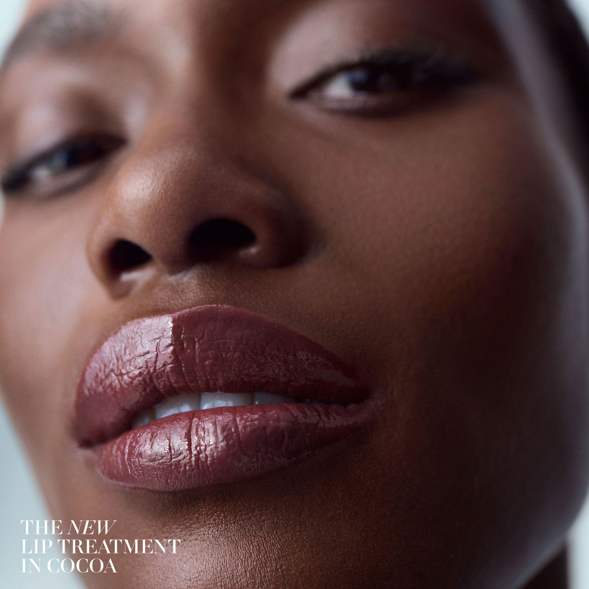 The Lip Treatment
