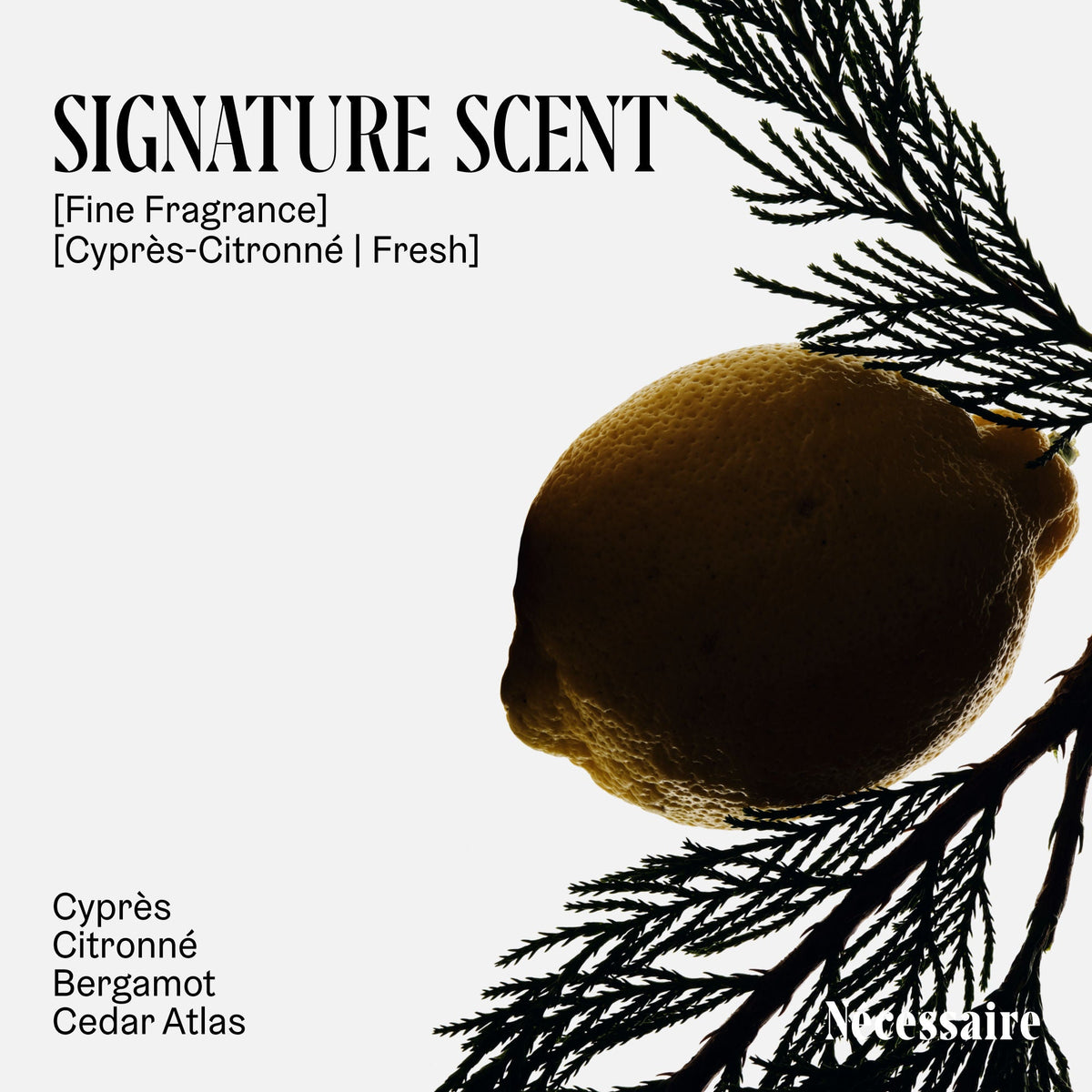 The Body Lotion Cyprès-Citronné