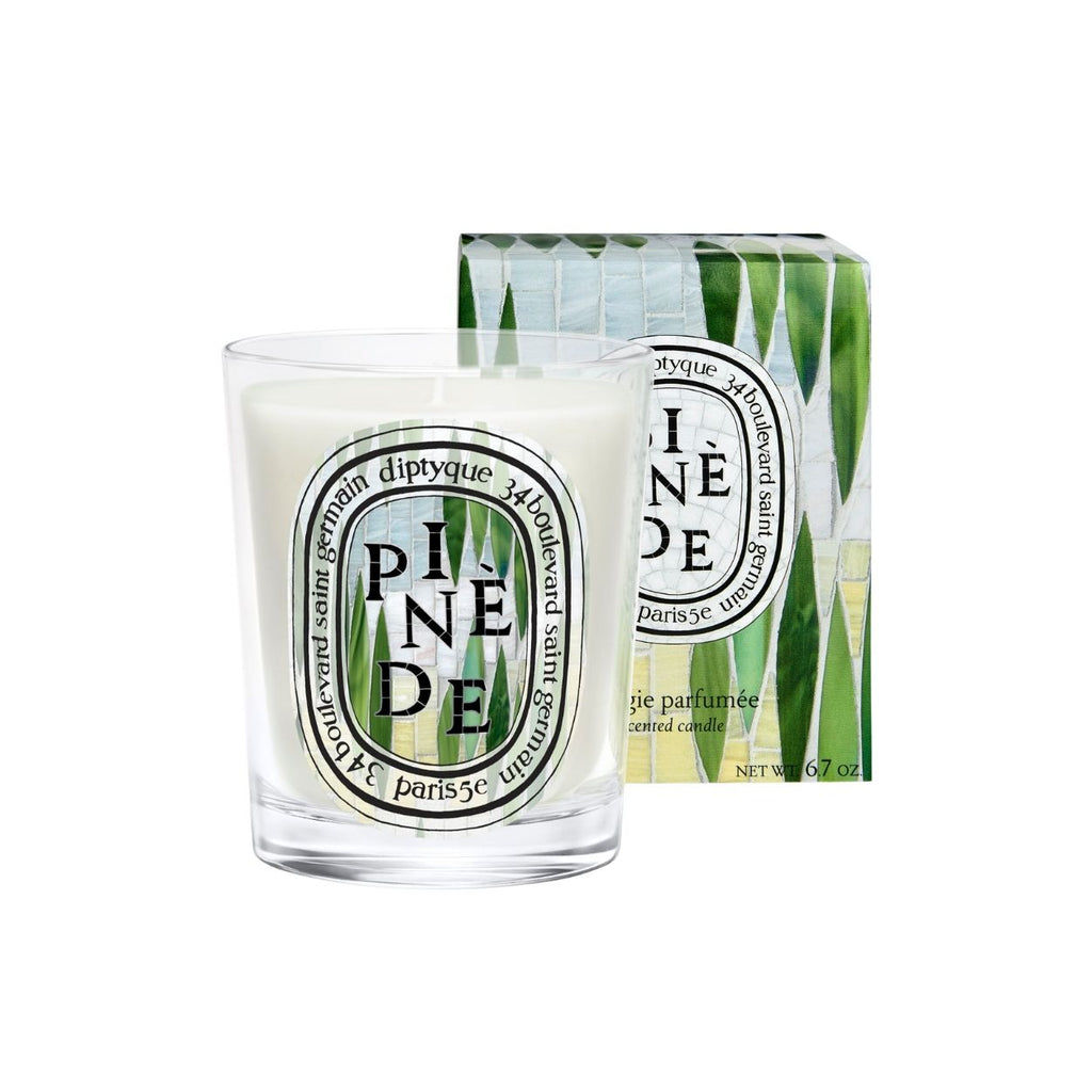 Pinède (Pine Grove) Classic Candle