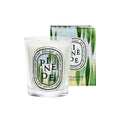 Pinède (Pine Grove) Classic Candle