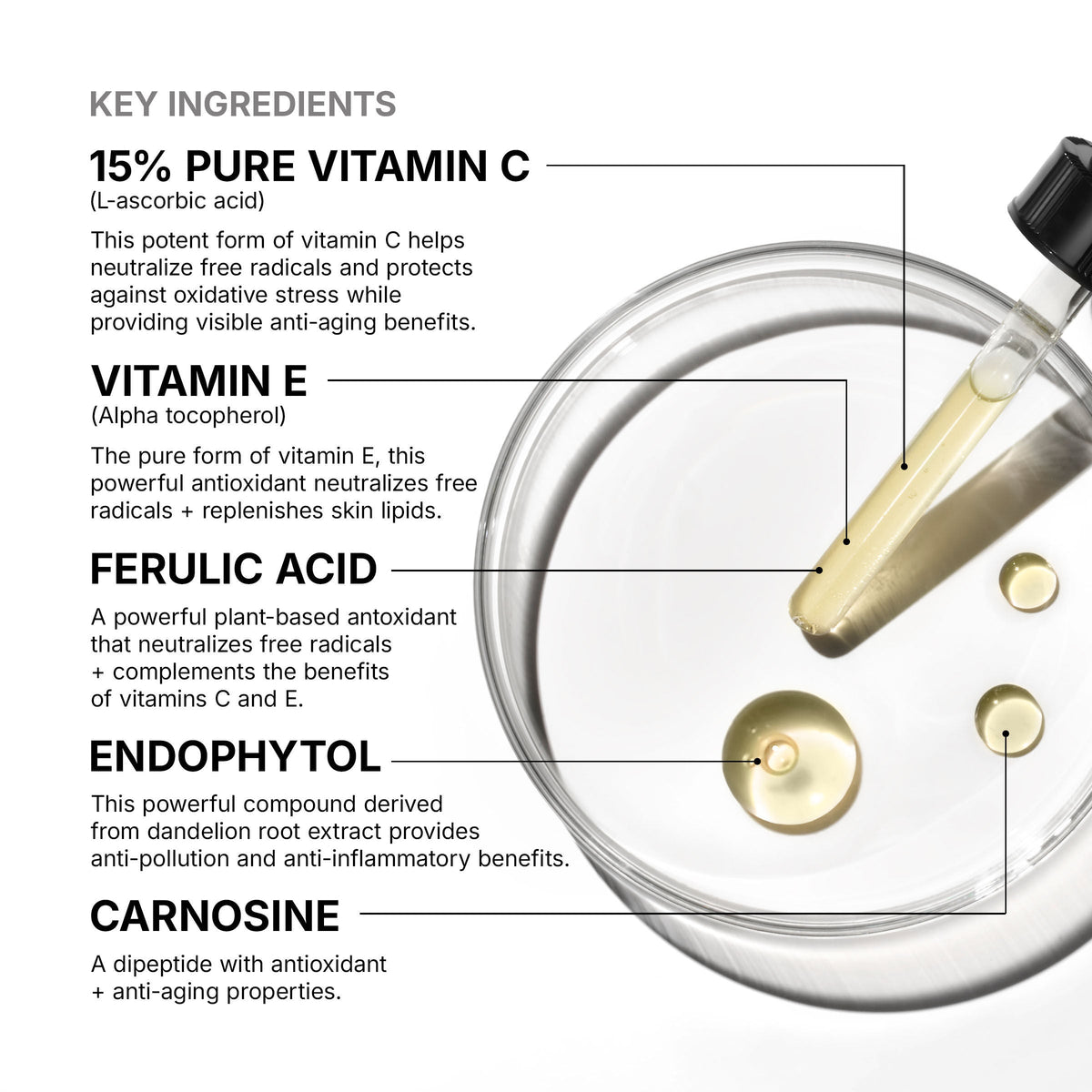 C E Ferulic