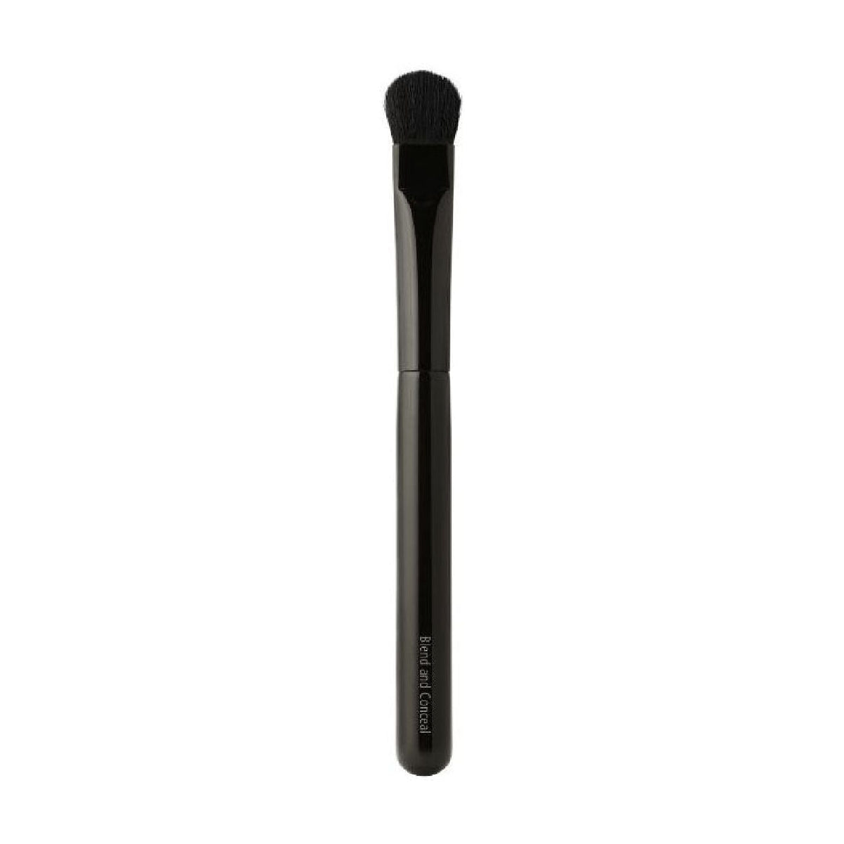Blend and Conceal Brush