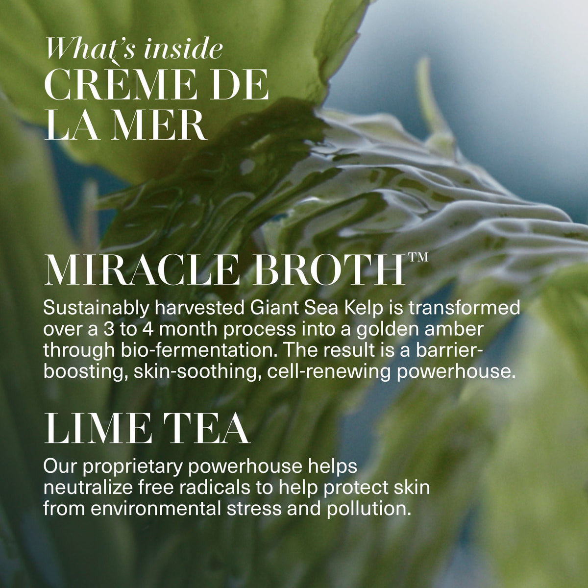 The Crème de La Mer Duet (Limited Edition)