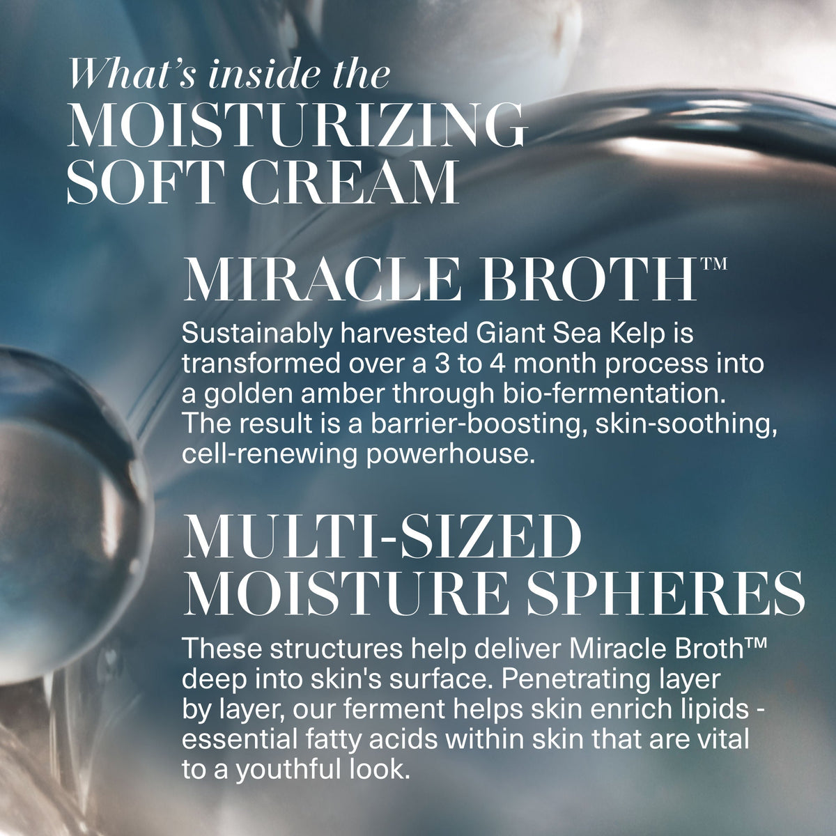 The Moisturizing Soft Cream Duet (Limited Edition)