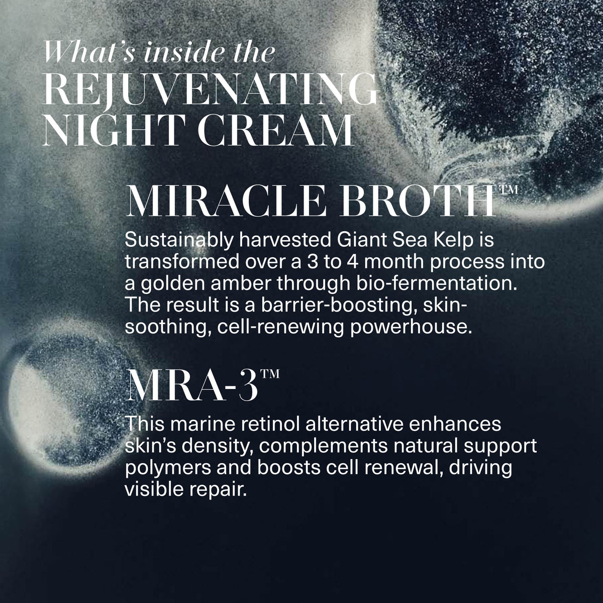 The Day and Night Duet (Limited Edition)
