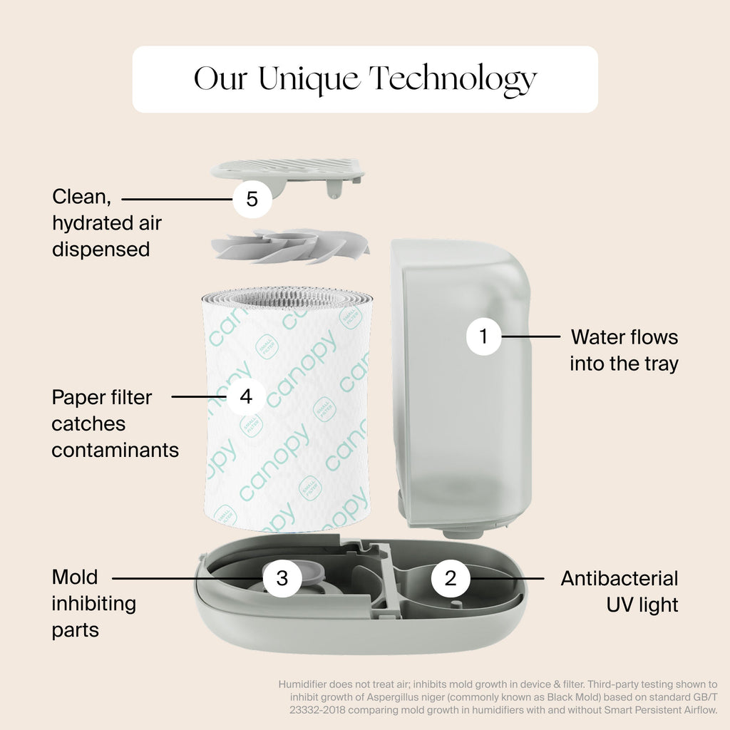 Canopy Humidifier Filter
