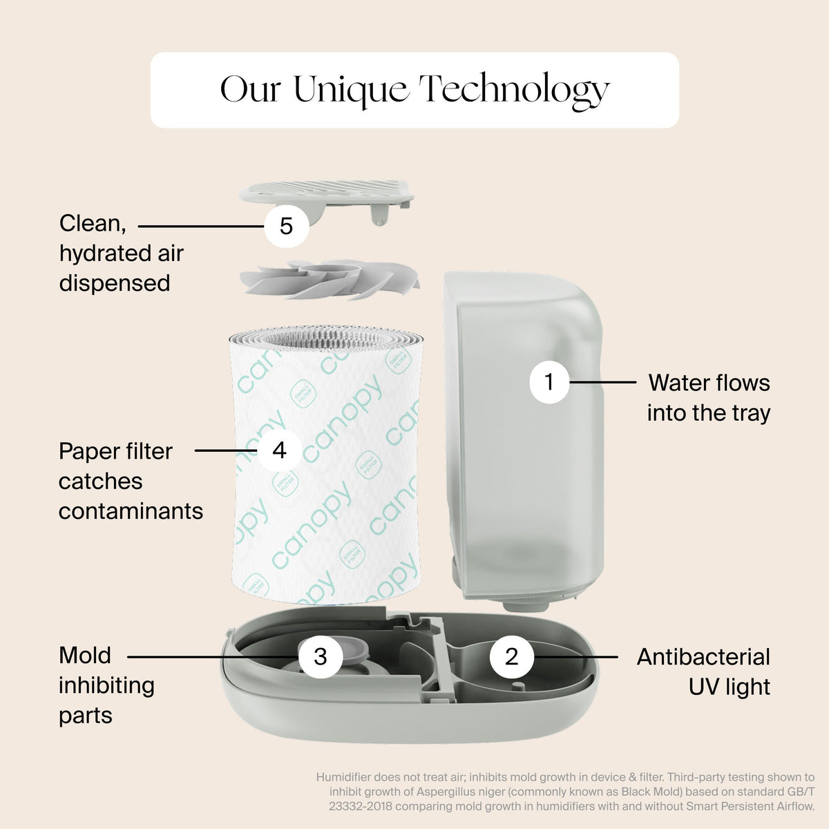 Canopy Humidifier Filter