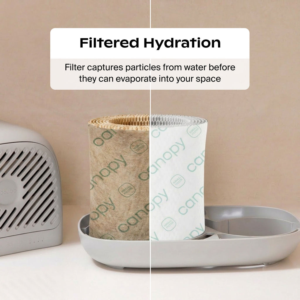Canopy Humidifier Filter