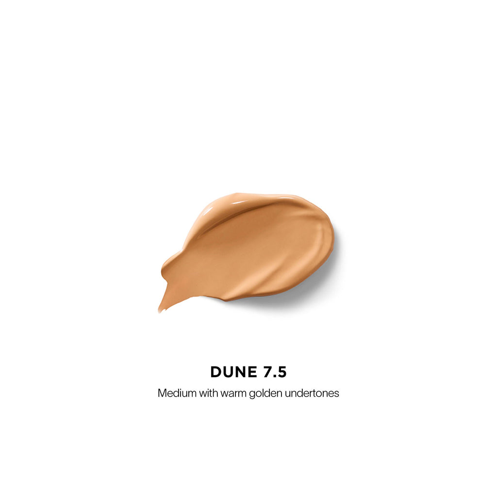 Vanish Airbrush Concealer