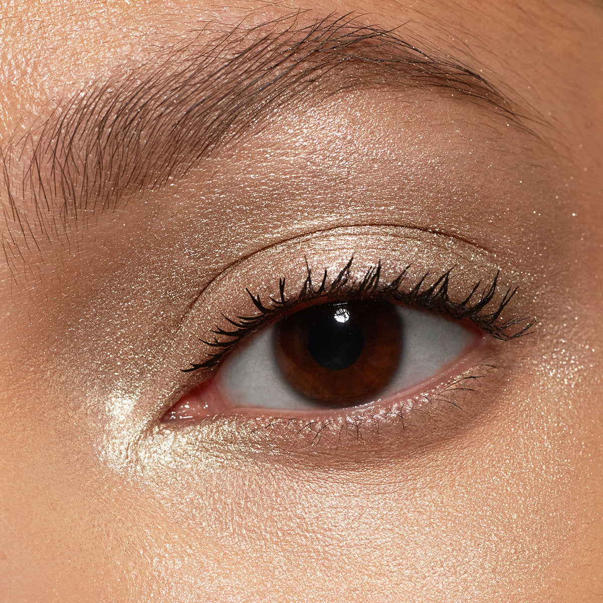 Pretty Shady Pressed Pigment