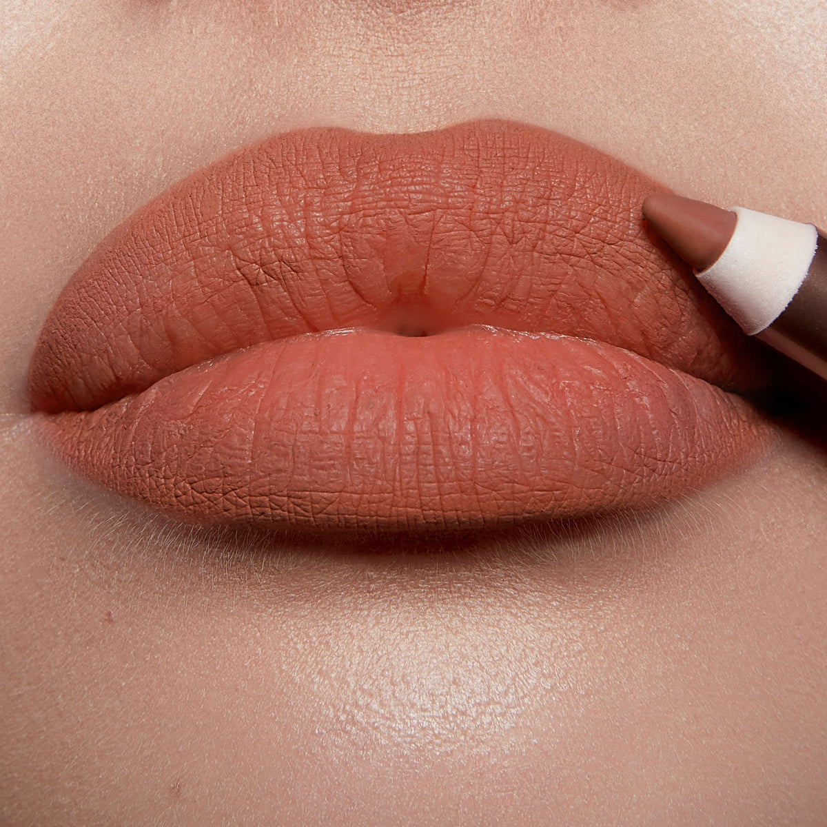 Lip Cheat