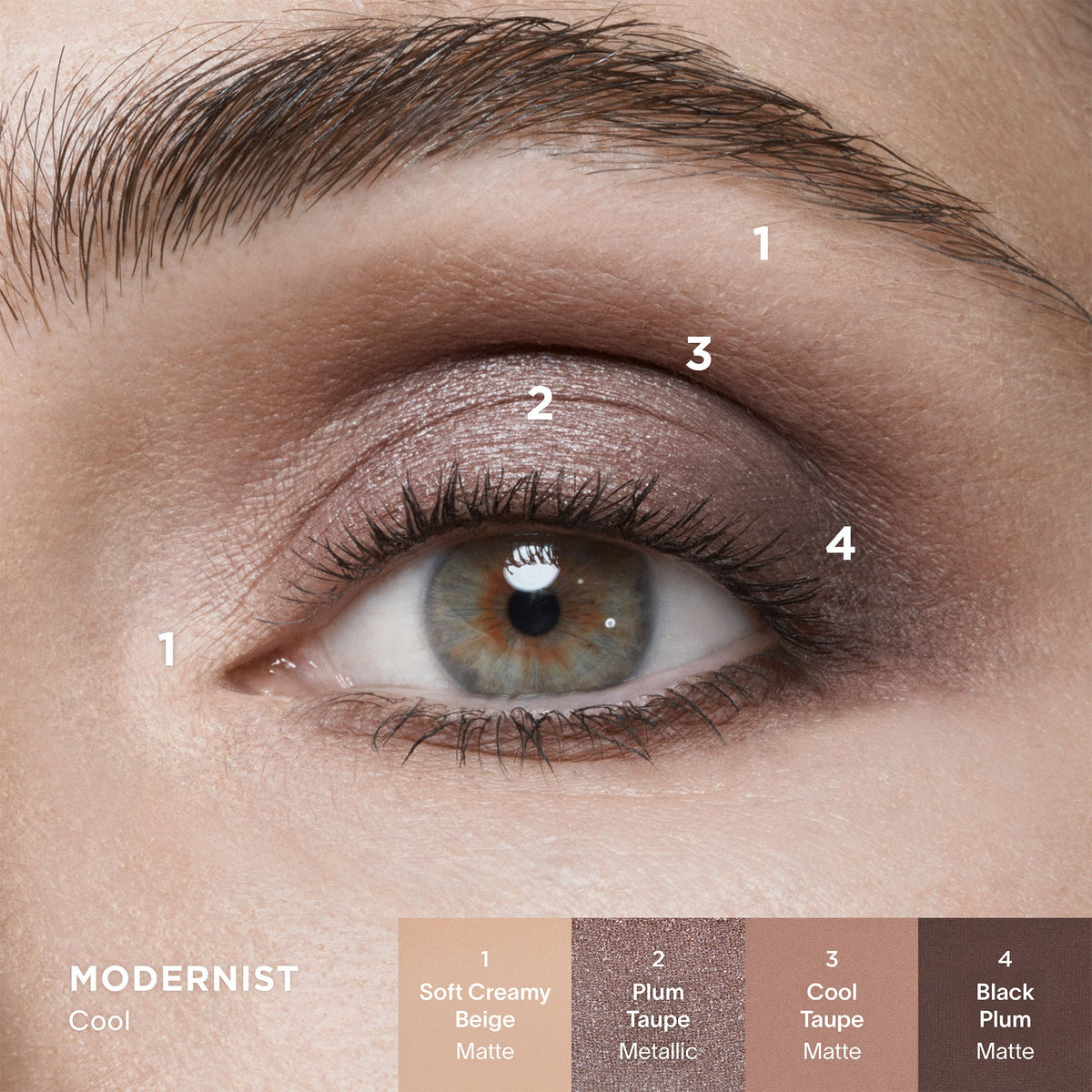 Curator Eyeshadow Palette