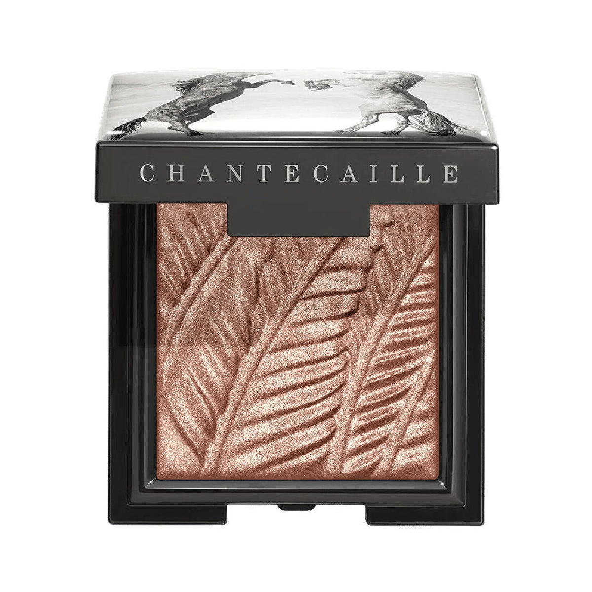 Luminescent Eye Shade Zebra