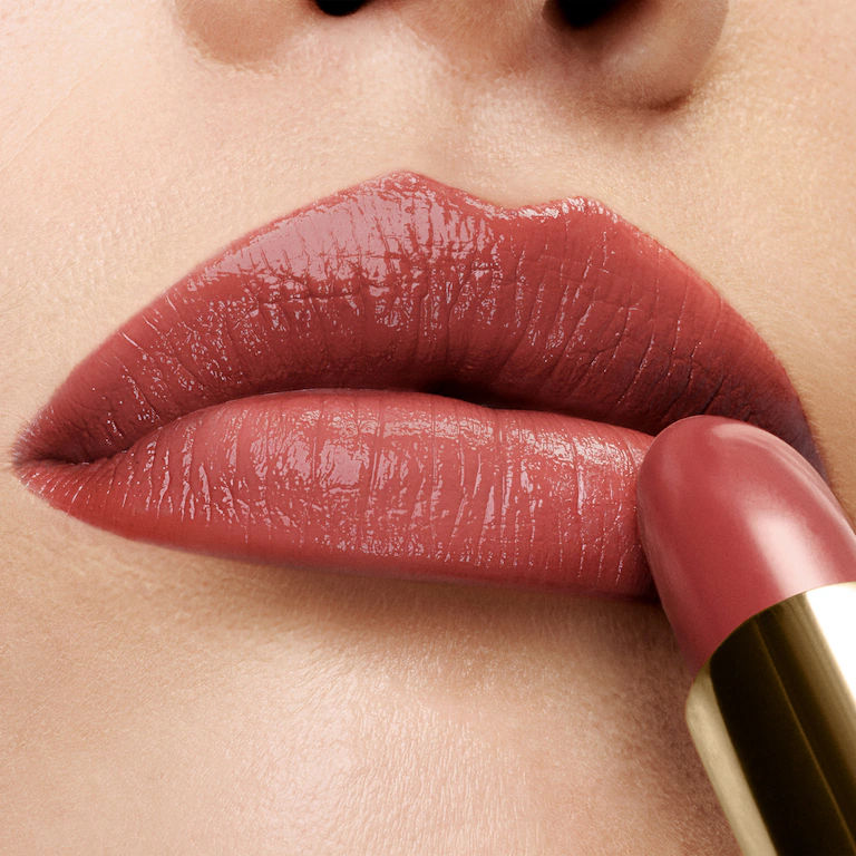 Lip Color Lipstick