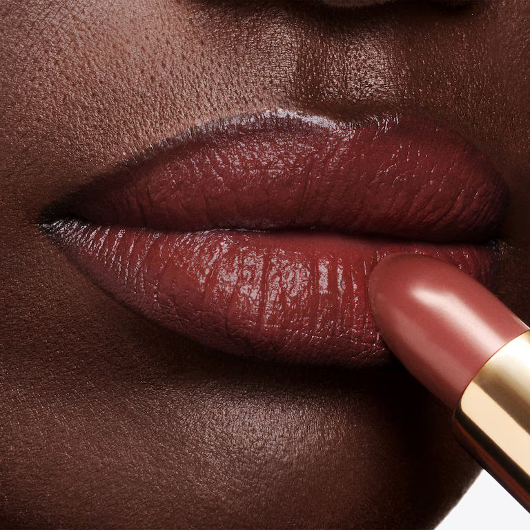 Lip Color Lipstick