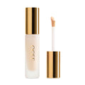 Complexion Perfecting Concealer