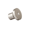 The Jolie Filtered Showerhead