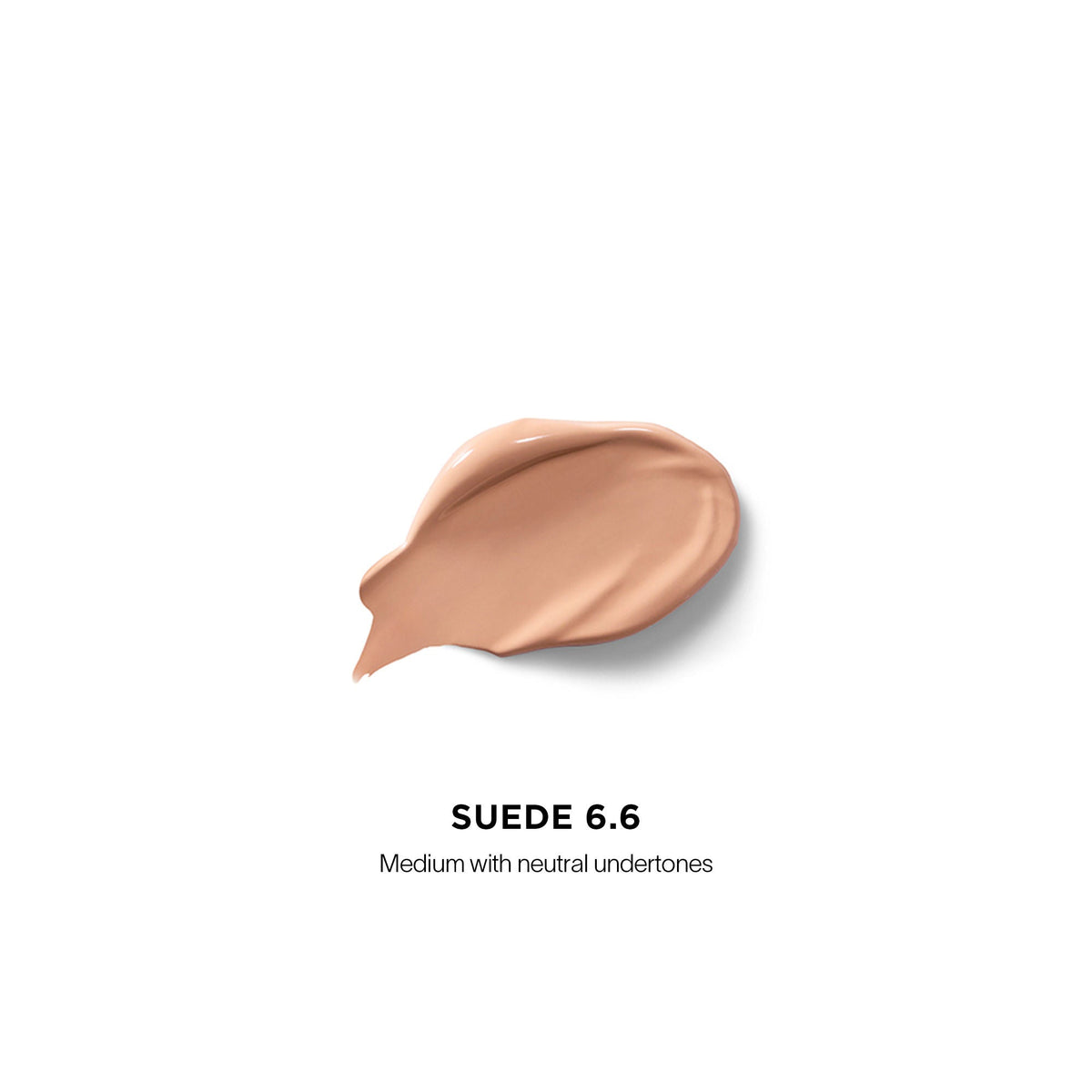 Vanish Airbrush Concealer
