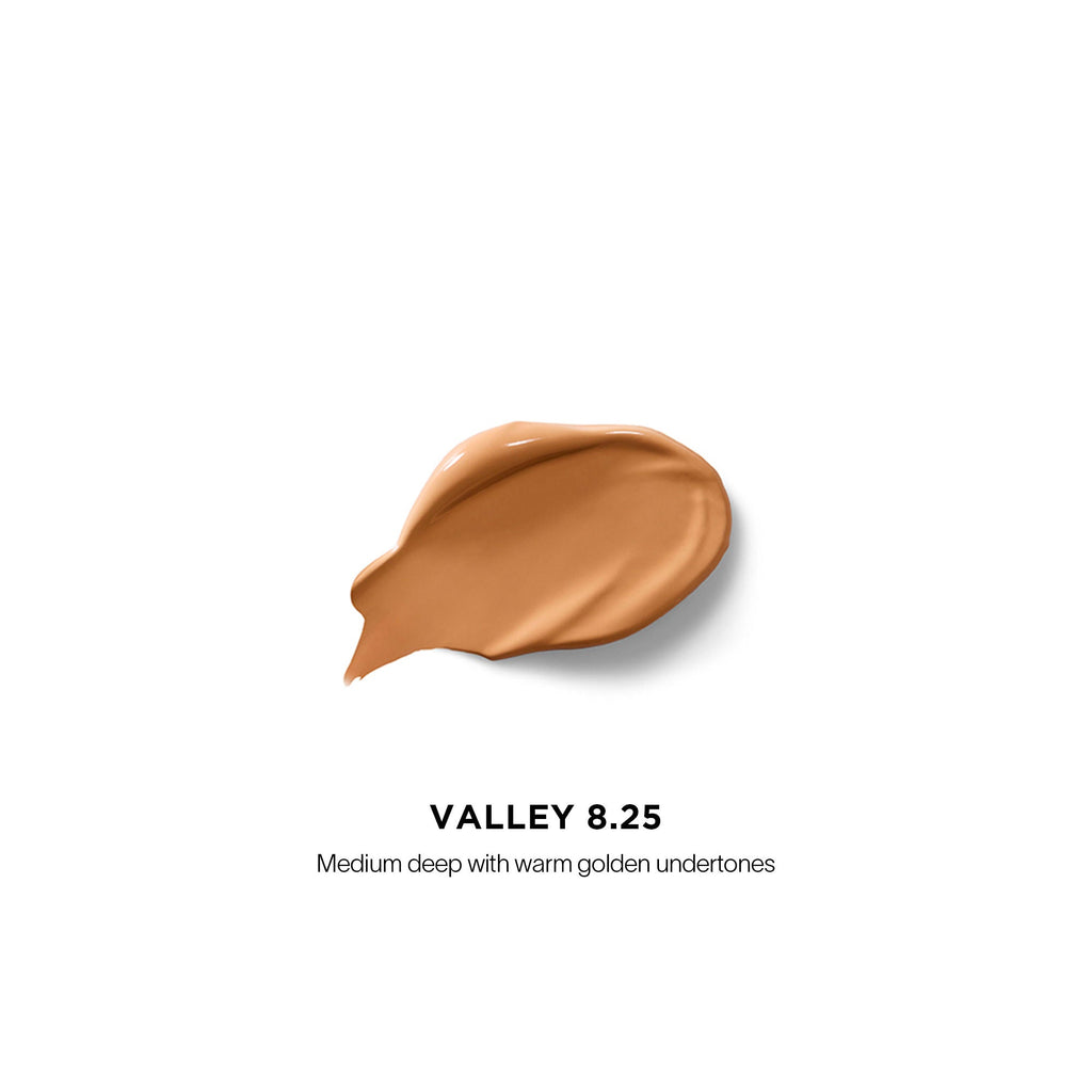 Vanish Airbrush Concealer