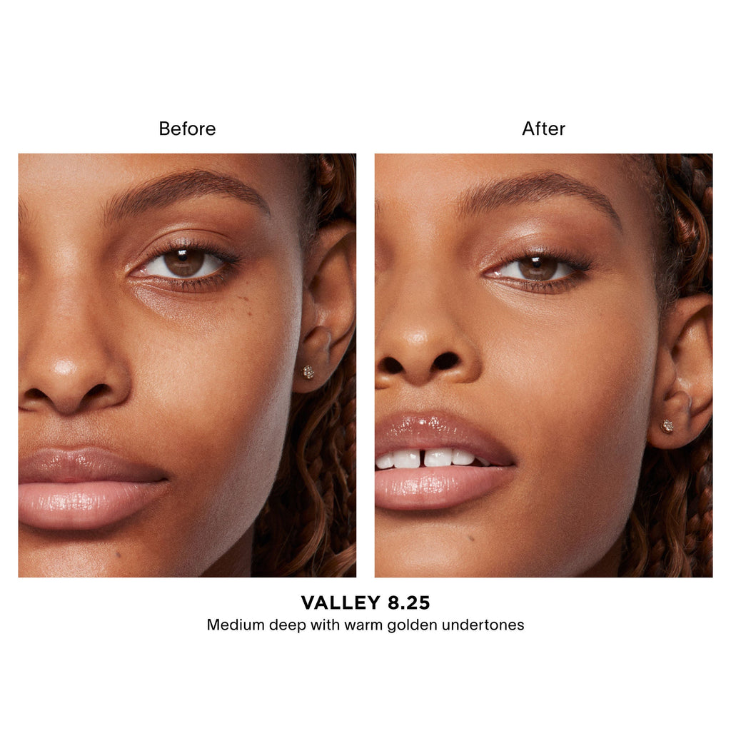 Vanish Airbrush Concealer