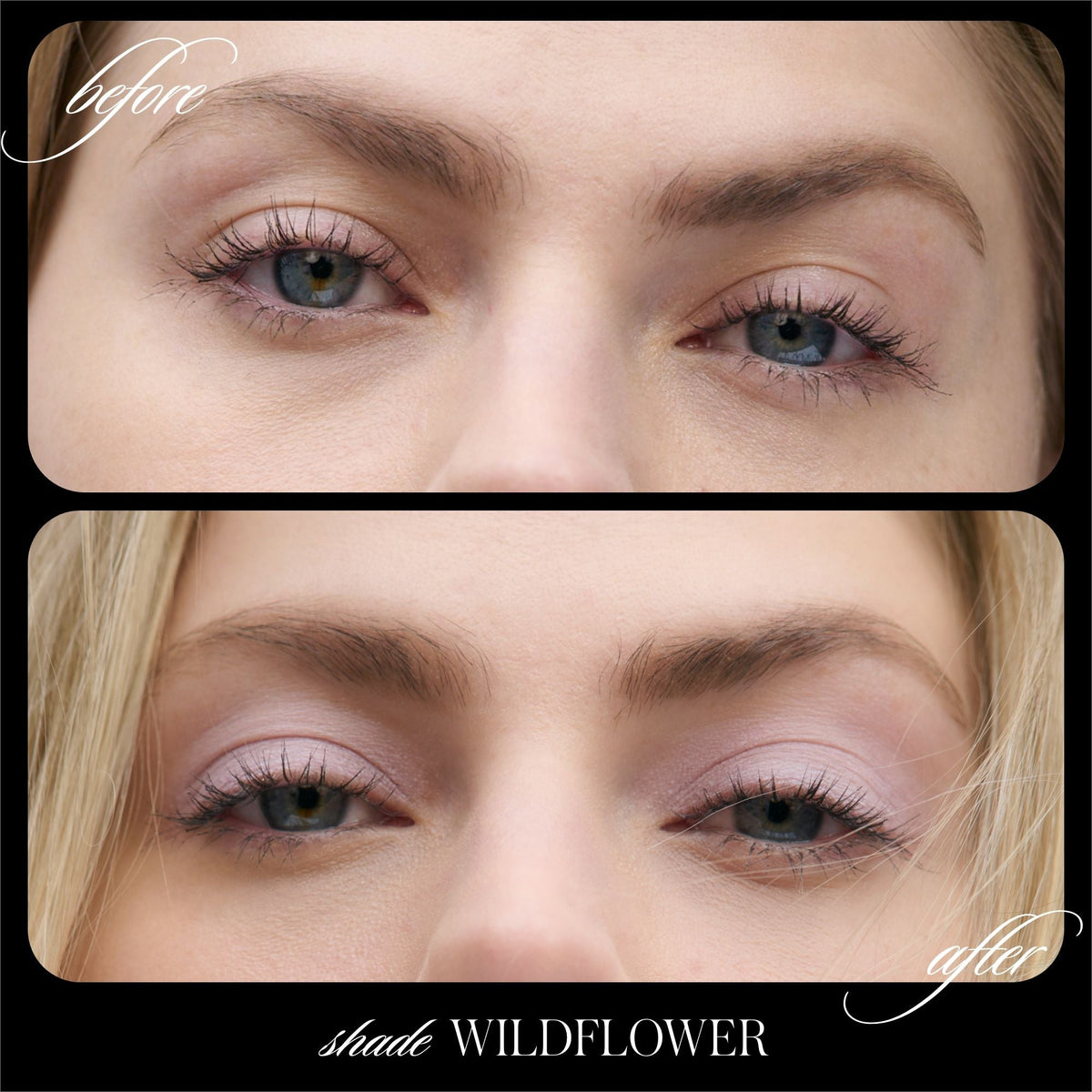 Cashmere Matte Eyelights